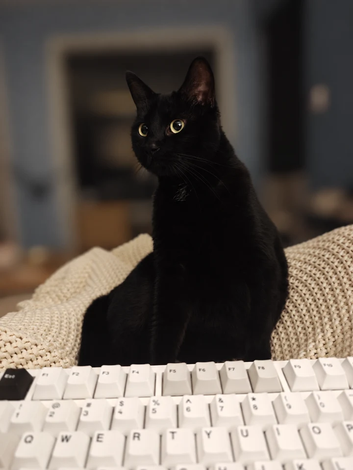 Baba, my black cat with golden eyes, sitting behind a keyboard
